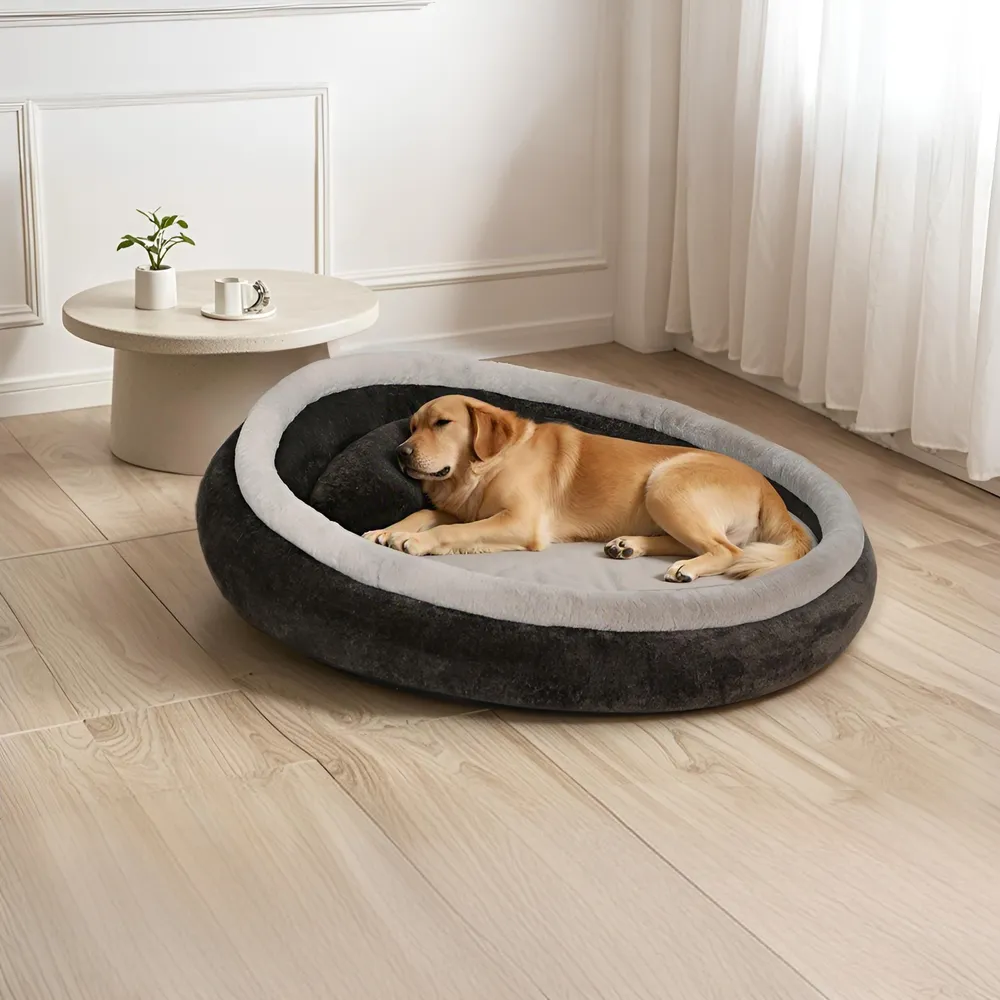 Best Human Dog Beds Customization
