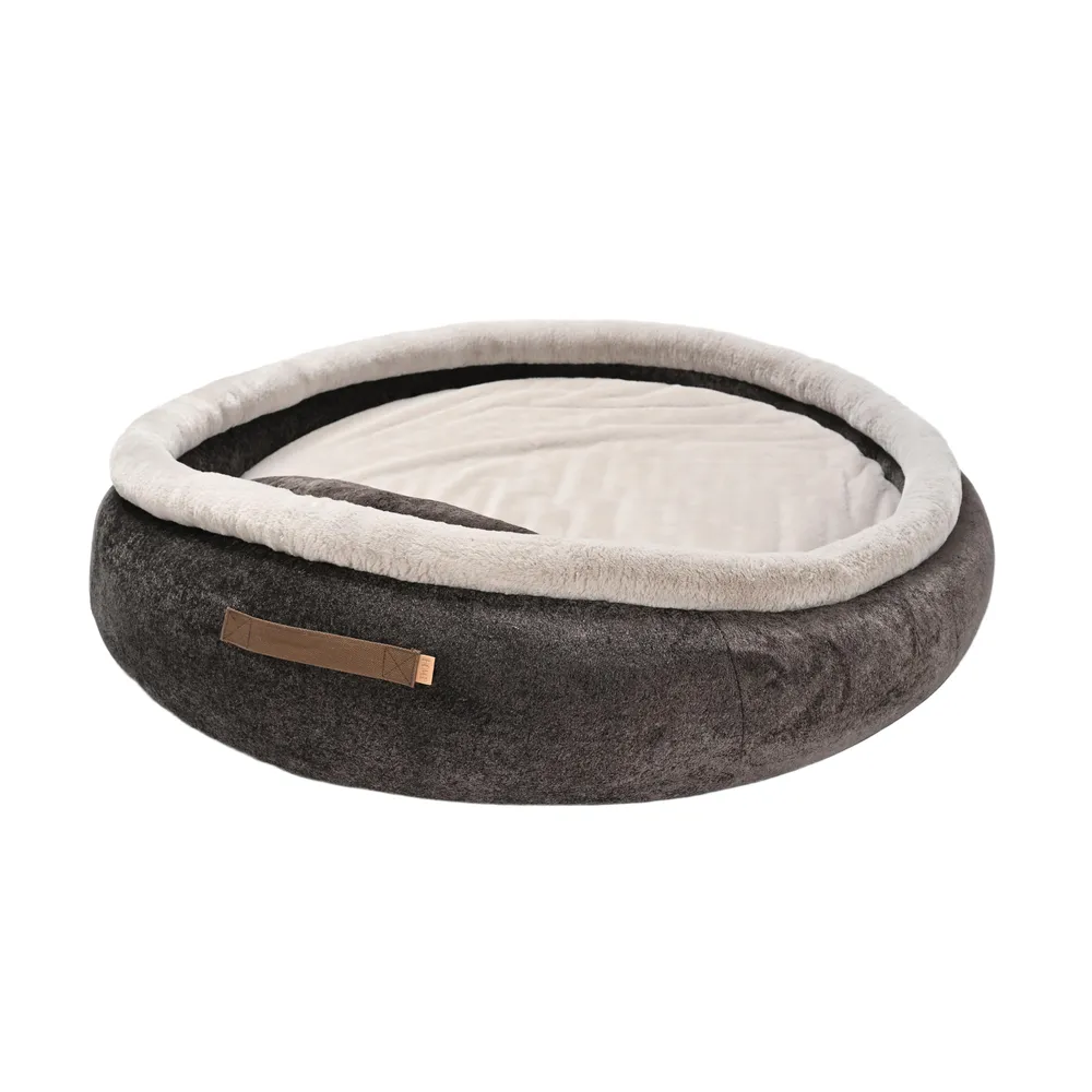 Best Human Dog Beds Manufacturer