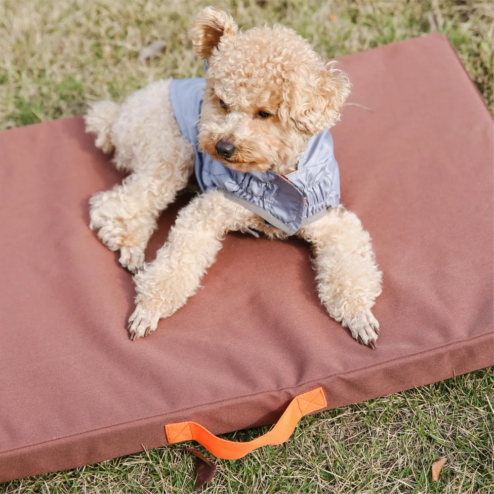 Cushioned Dog Bed Customizable