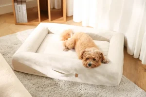 Large Breed Dog Beds Background