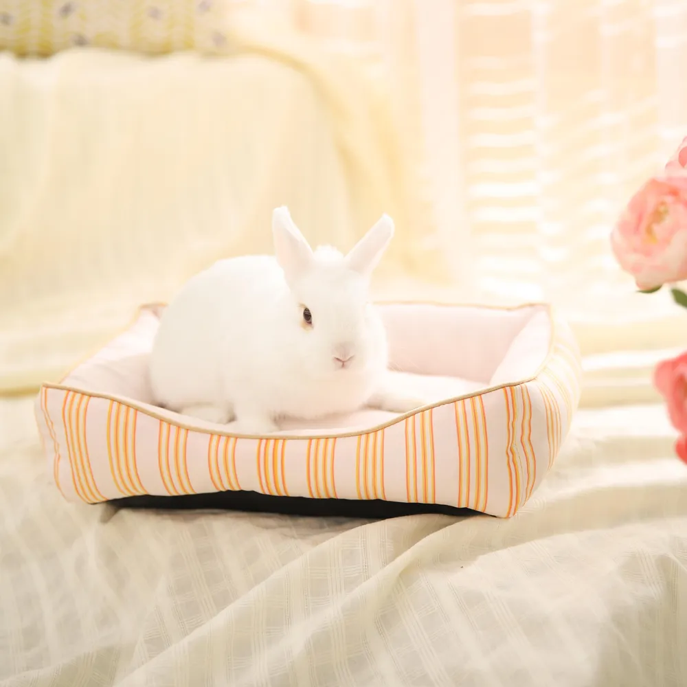 Pet Bed Small Custom