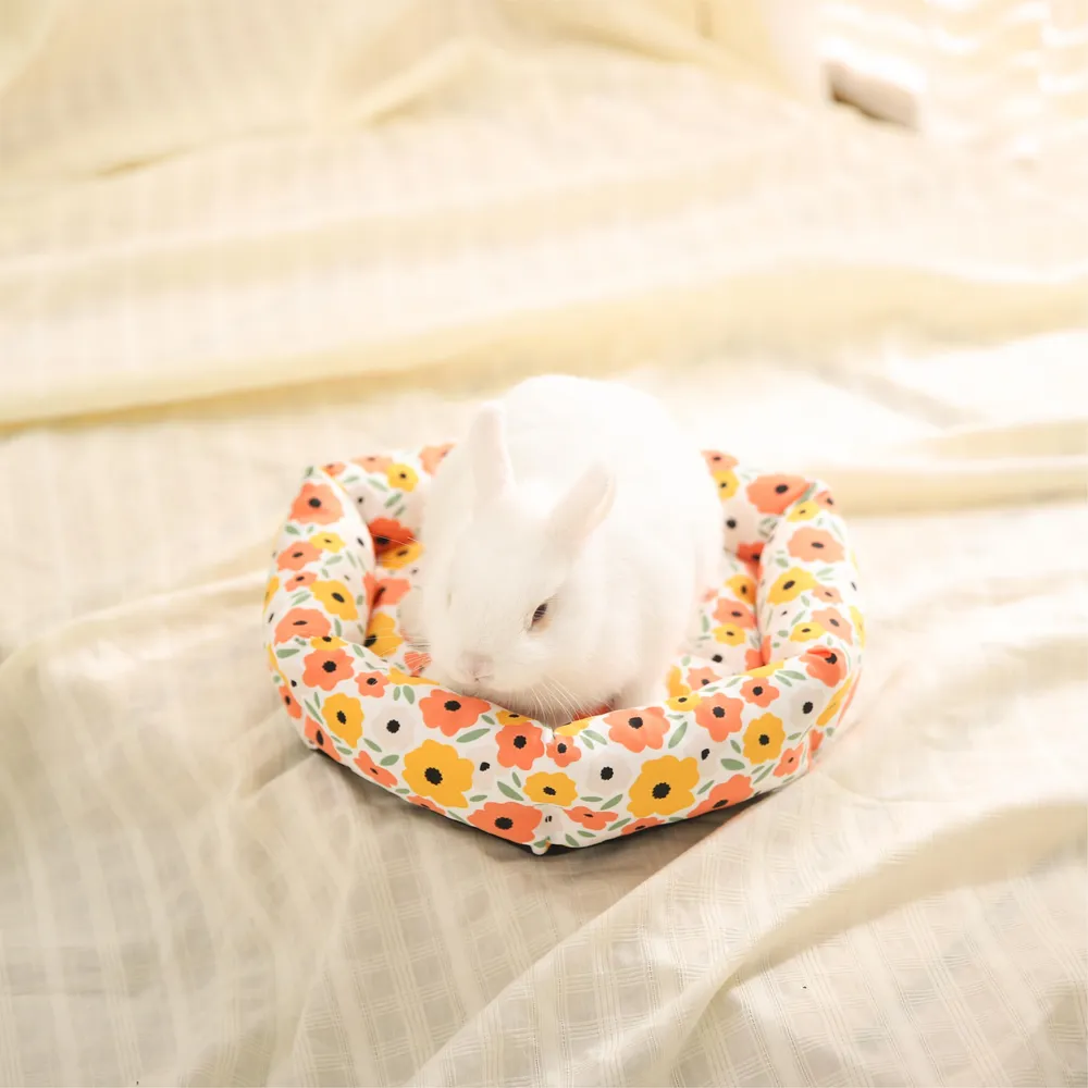 Small Pet Beds Custom