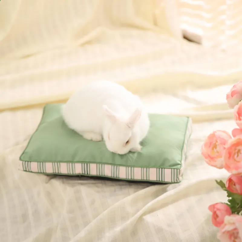 Small Pet Bedding Customization