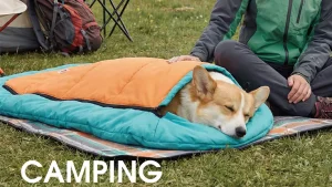 The Sourcing Guide Dog Travel Beds