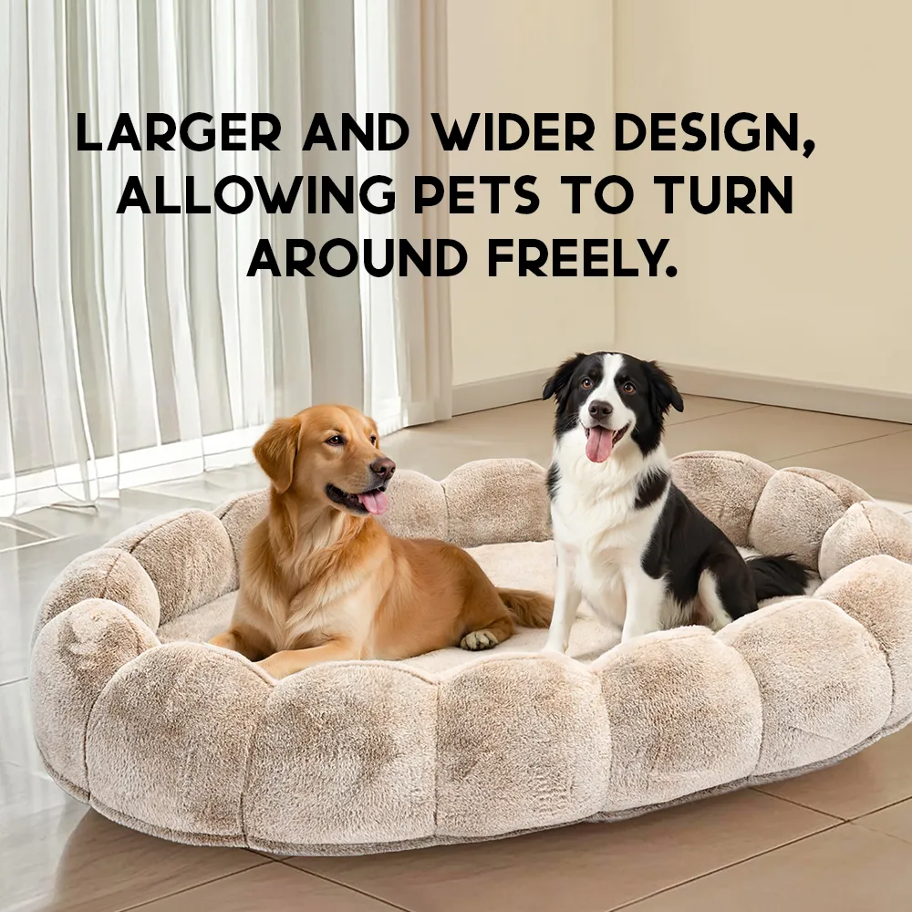 human size dog beds for large dogs