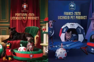 2026 World Cup Pet Beds