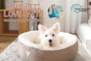 How Recycled Plastic Bottles Become Eco-Friendly Pet Beds