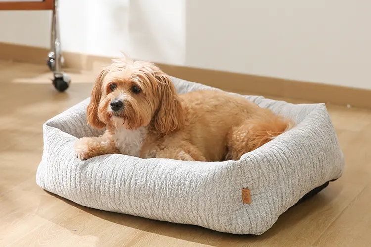 Principales características de las camas de invierno para mascotas que los compradores minoristas buscan en 2026​