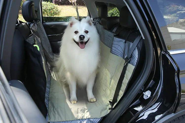 Guía de venta al por mayor de productos para mascotas en viaje: camas para perros guía, transportines para gatos, asientos elevadores y accesorios para el coche​