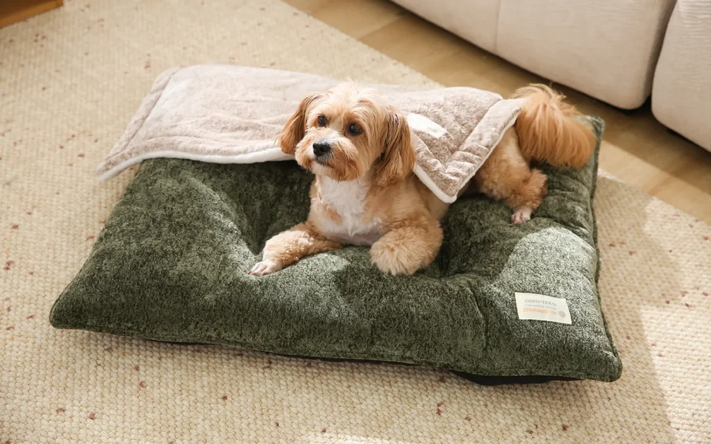 OEKO-TEX Standard 100 certified non-toxic custom dog pillow bed