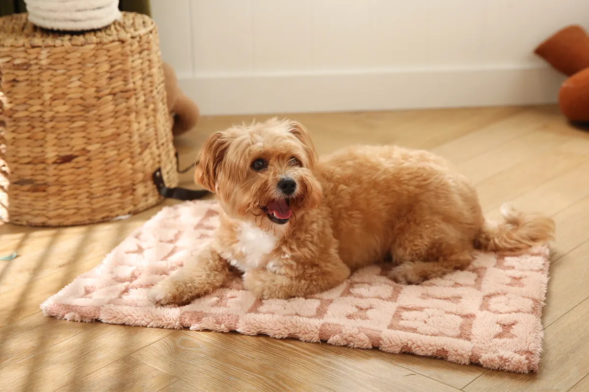 Paw print jacquard dog blanket fabric close-up showing woven pattern