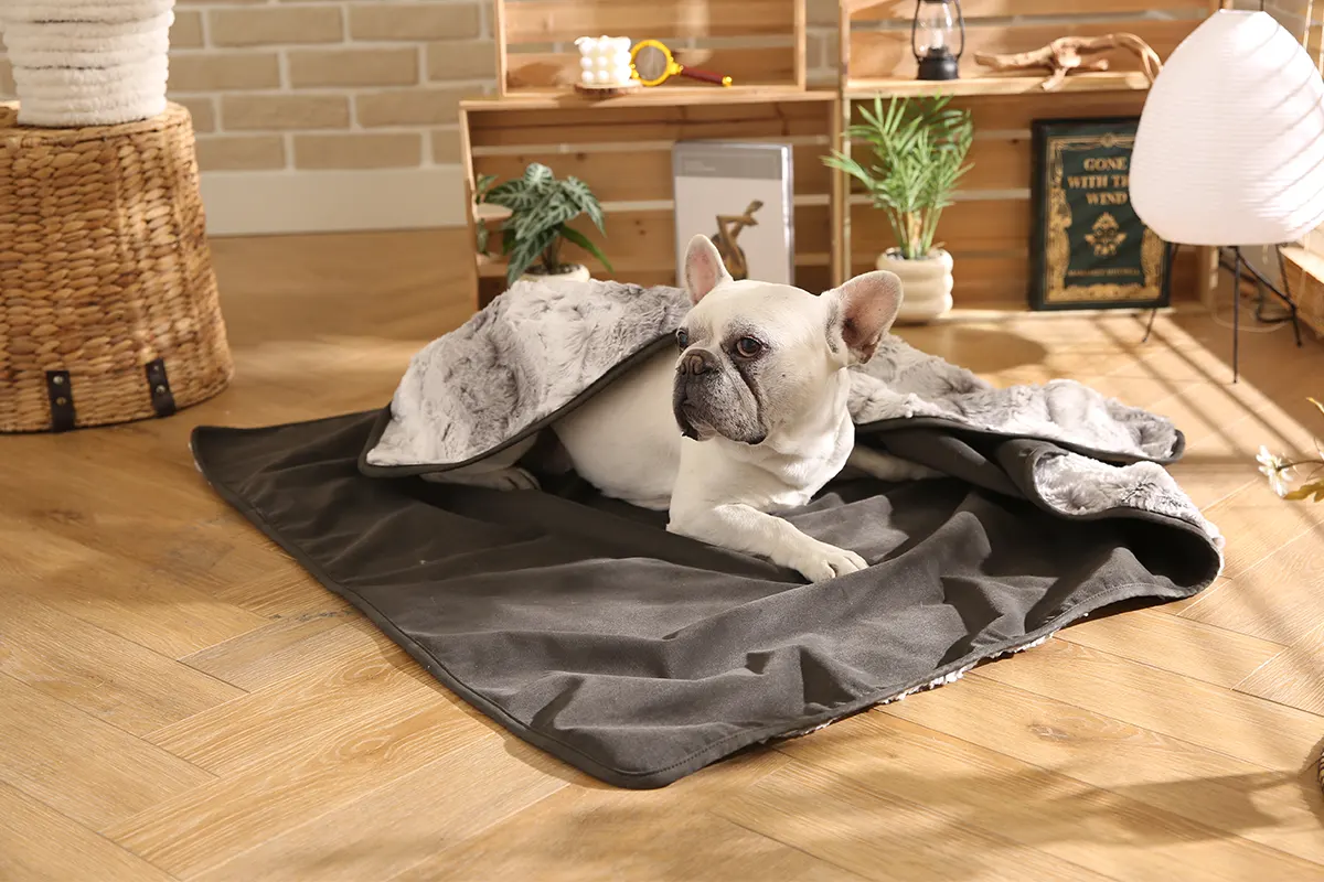 Best collection ultimate luxury dog blanket