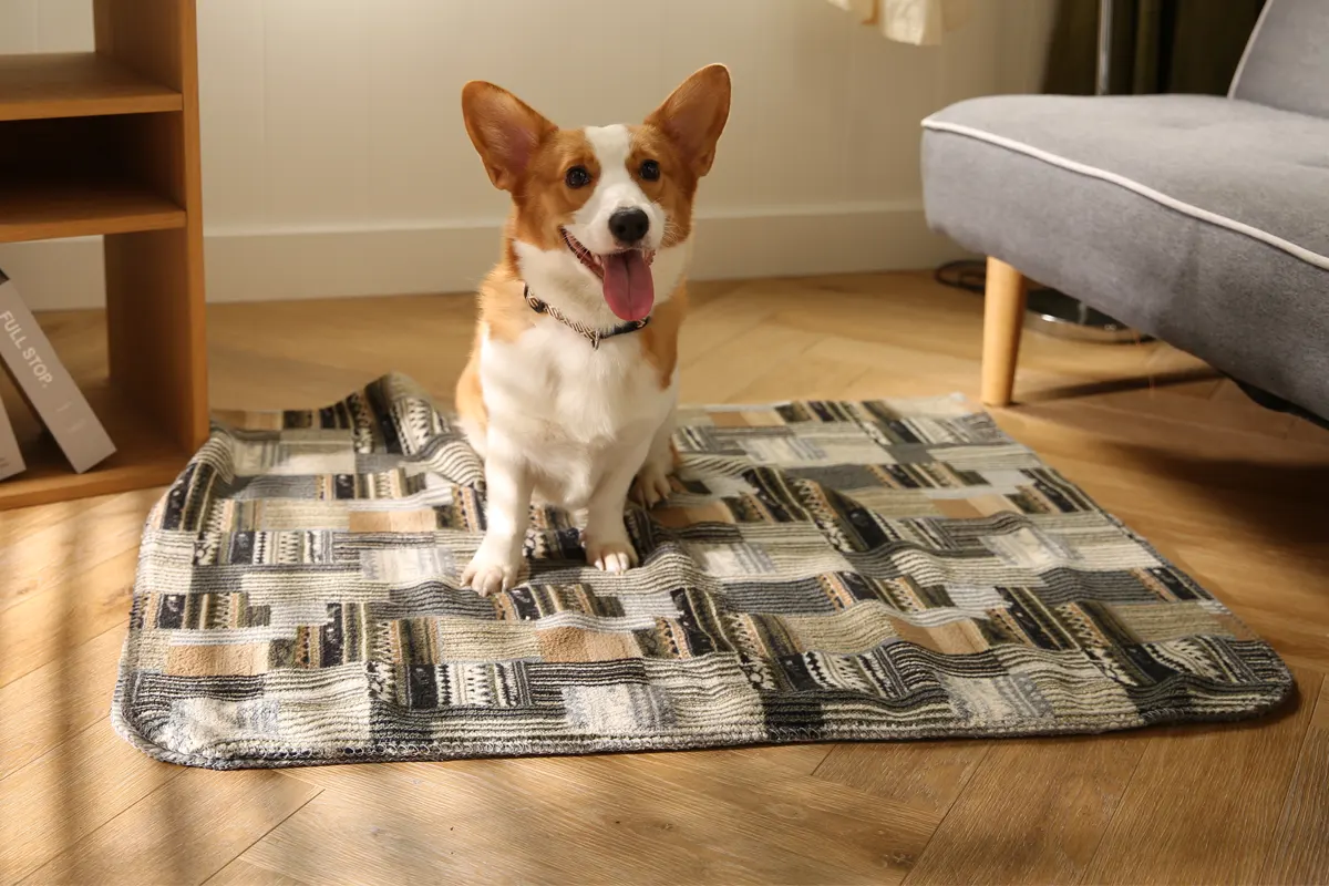 YF142248 velvet dog blanket lifestyle