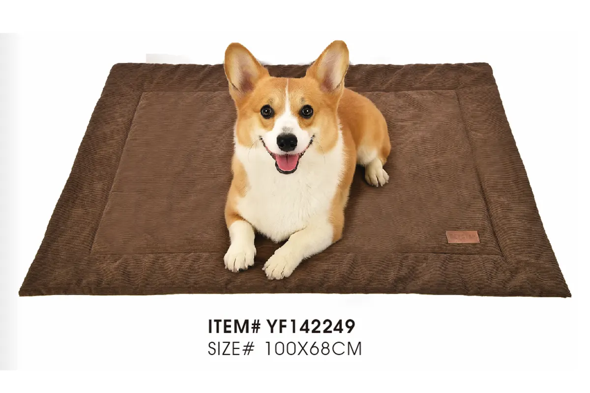 YF142249 textured velvet dog blanket white background