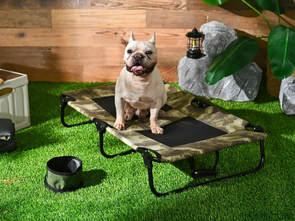 Elevated Pet Bed
