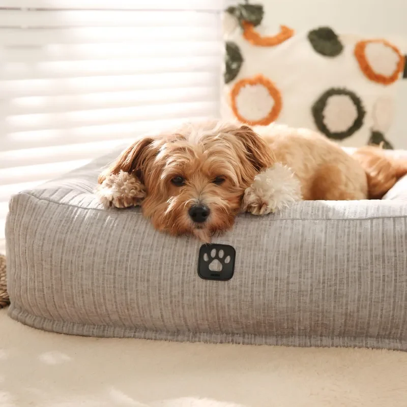 Large Breed Dog Beds Orthopedic Bed