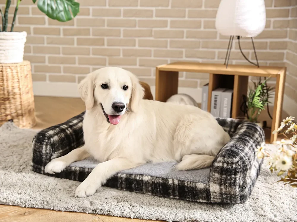 Large Breed Dog Beds