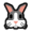 Small Pets