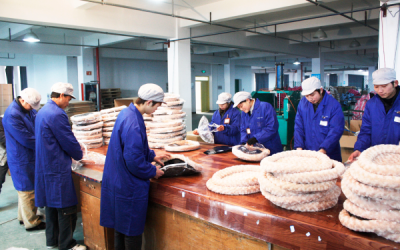 pet cave manufacturing