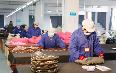 pet sofa manufacturing